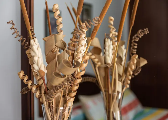 Daire El Carmen Cotillo